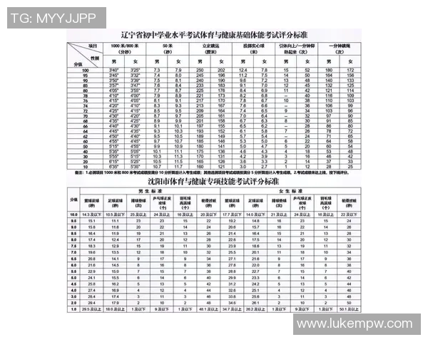 球员评分系统大比拼：评分标准全解析